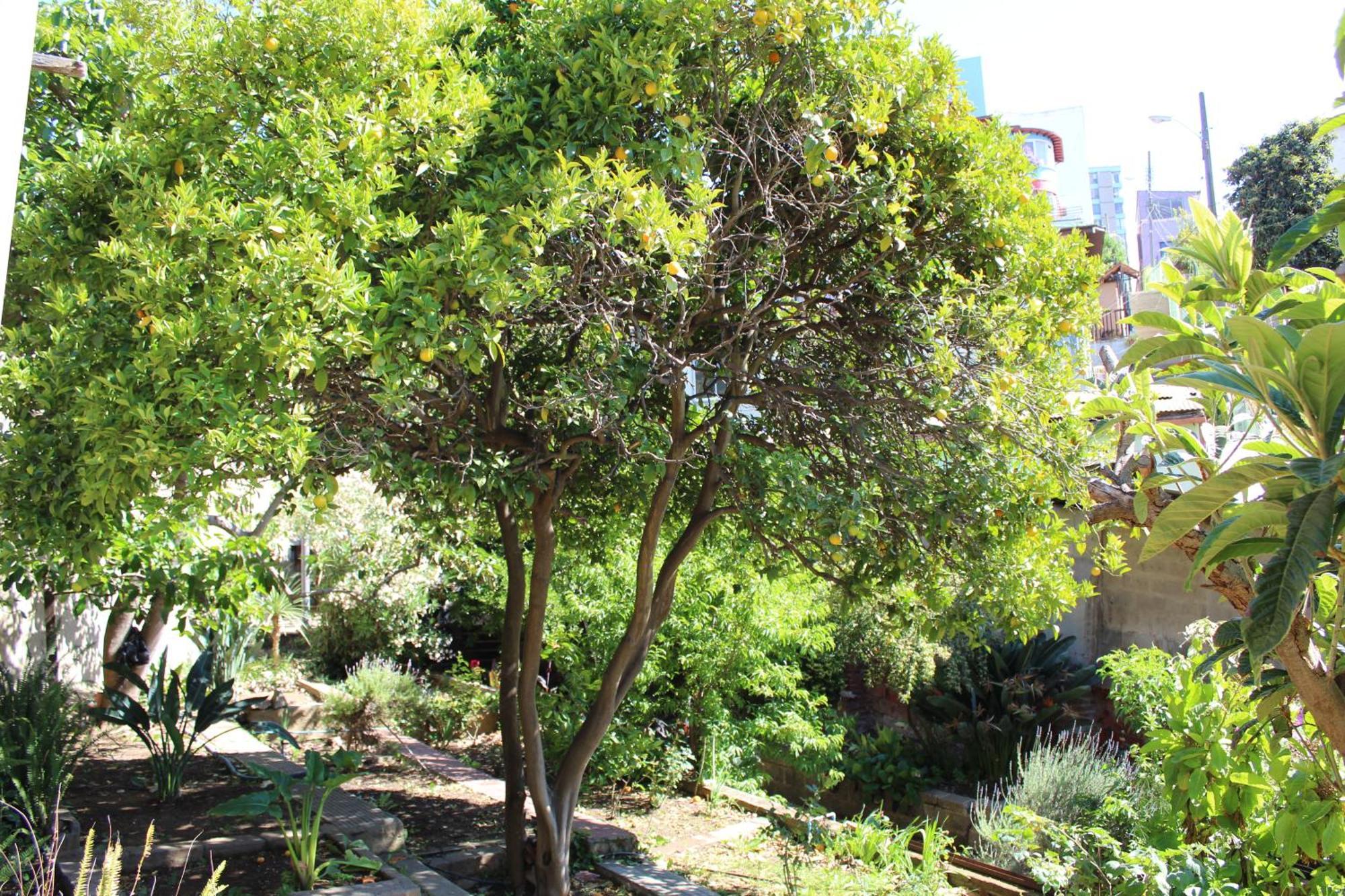 Hotel Boutique & Spa Puerto Natura Valparaíso Eksteriør billede